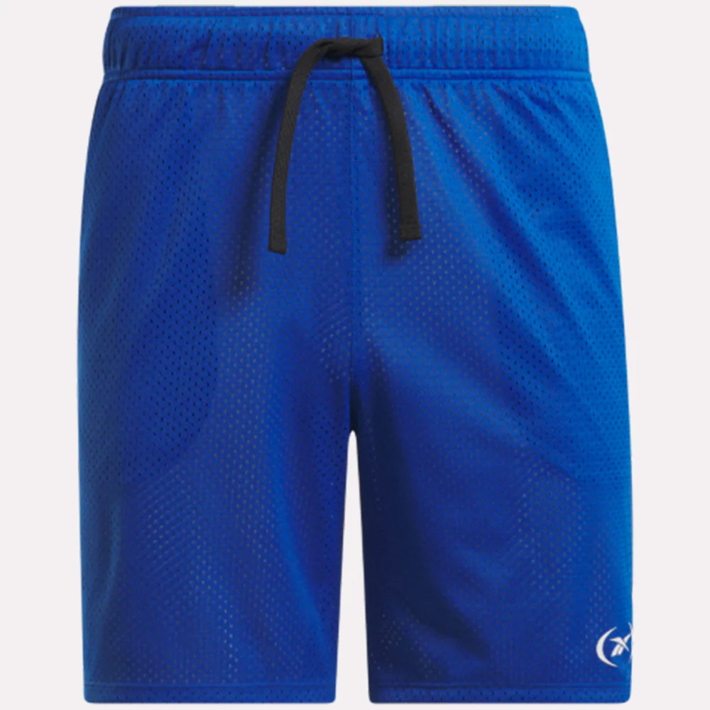 Basketball Mesh Men's Shorts